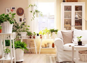 自貢酷暑來襲，空調19個節能省錢竅門，九成家庭還不知道